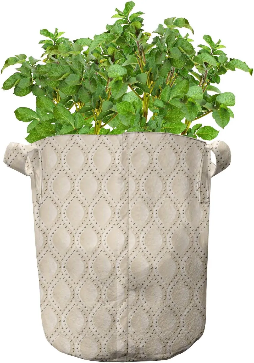 Ambesonne Neutral Color Grow Bags 5-Pack, Dotted Droplet Motifs, Heavyduty Fabric Pots with Handles for Plants, 7 Gallon, Champagne and Beige
