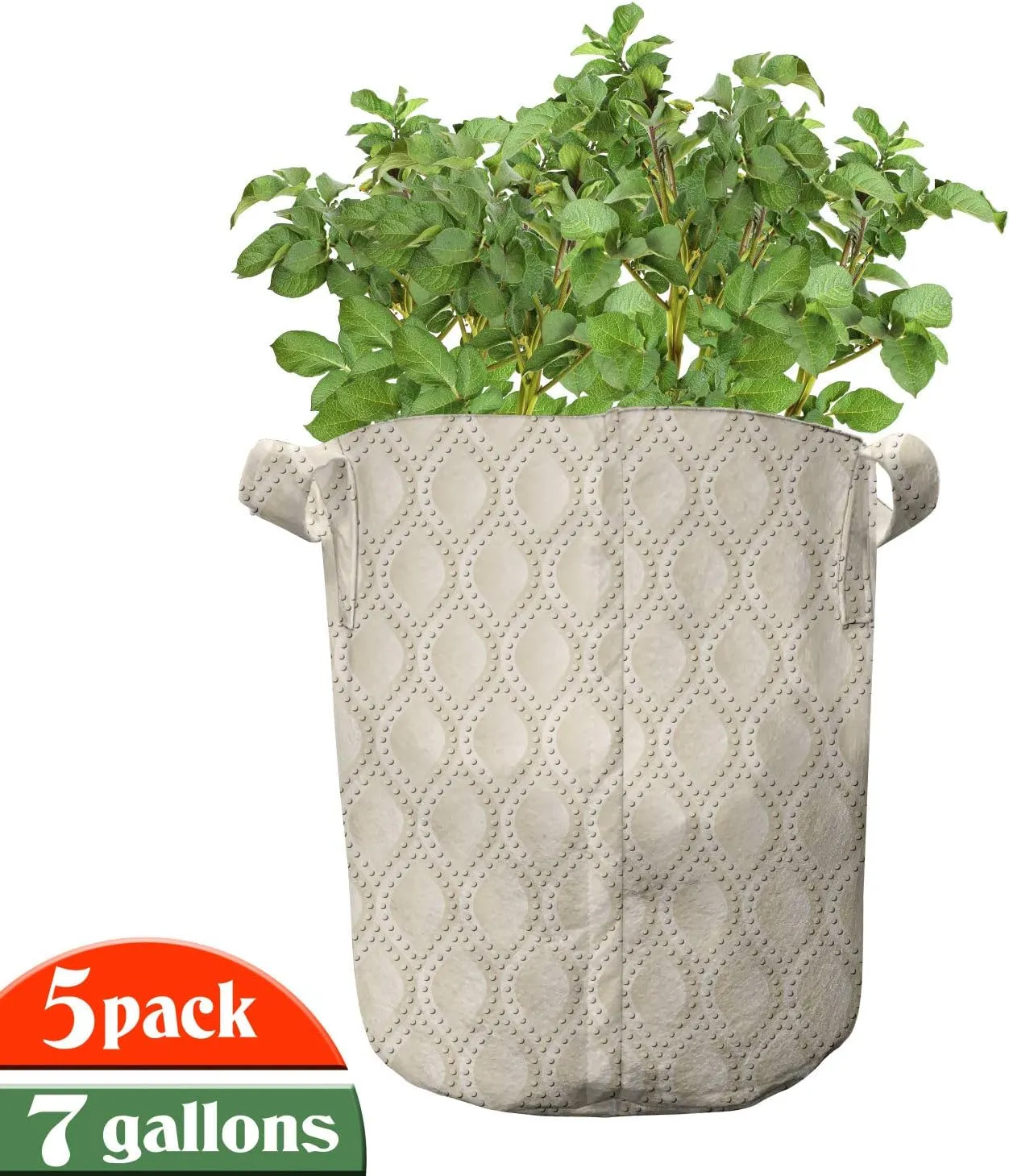 Ambesonne Neutral Color Grow Bags 5-Pack, Dotted Droplet Motifs, Heavyduty Fabric Pots with Handles for Plants, 7 Gallon, Champagne and Beige