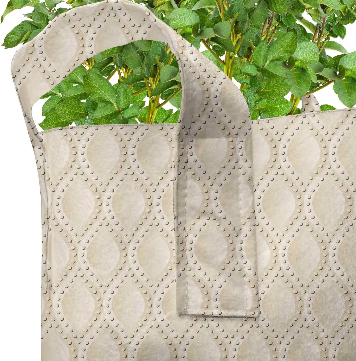 Ambesonne Neutral Color Grow Bags 5-Pack, Dotted Droplet Motifs, Heavyduty Fabric Pots with Handles for Plants, 7 Gallon, Champagne and Beige