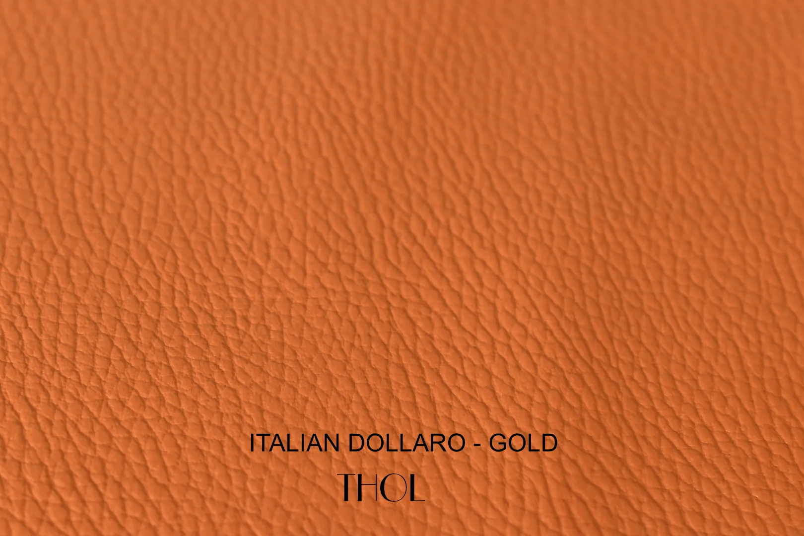 Italian Dollaro