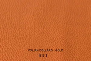 Italian Dollaro