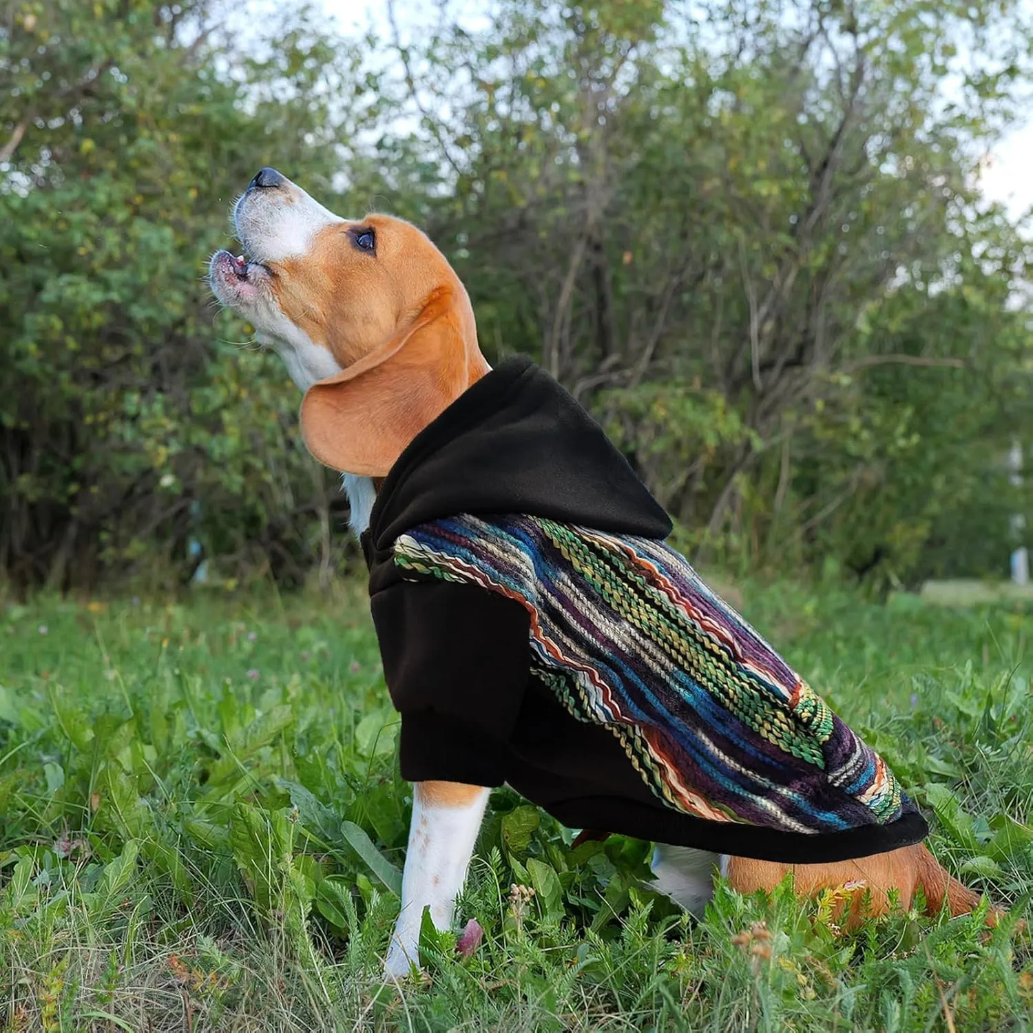 PUPTECK Dog Hoodie Puppy Sweatshirt Warm Dog Sweater Winter Clothes Cold Weather Coats for Small Medium Large Dogs, Black Mexican Style, M