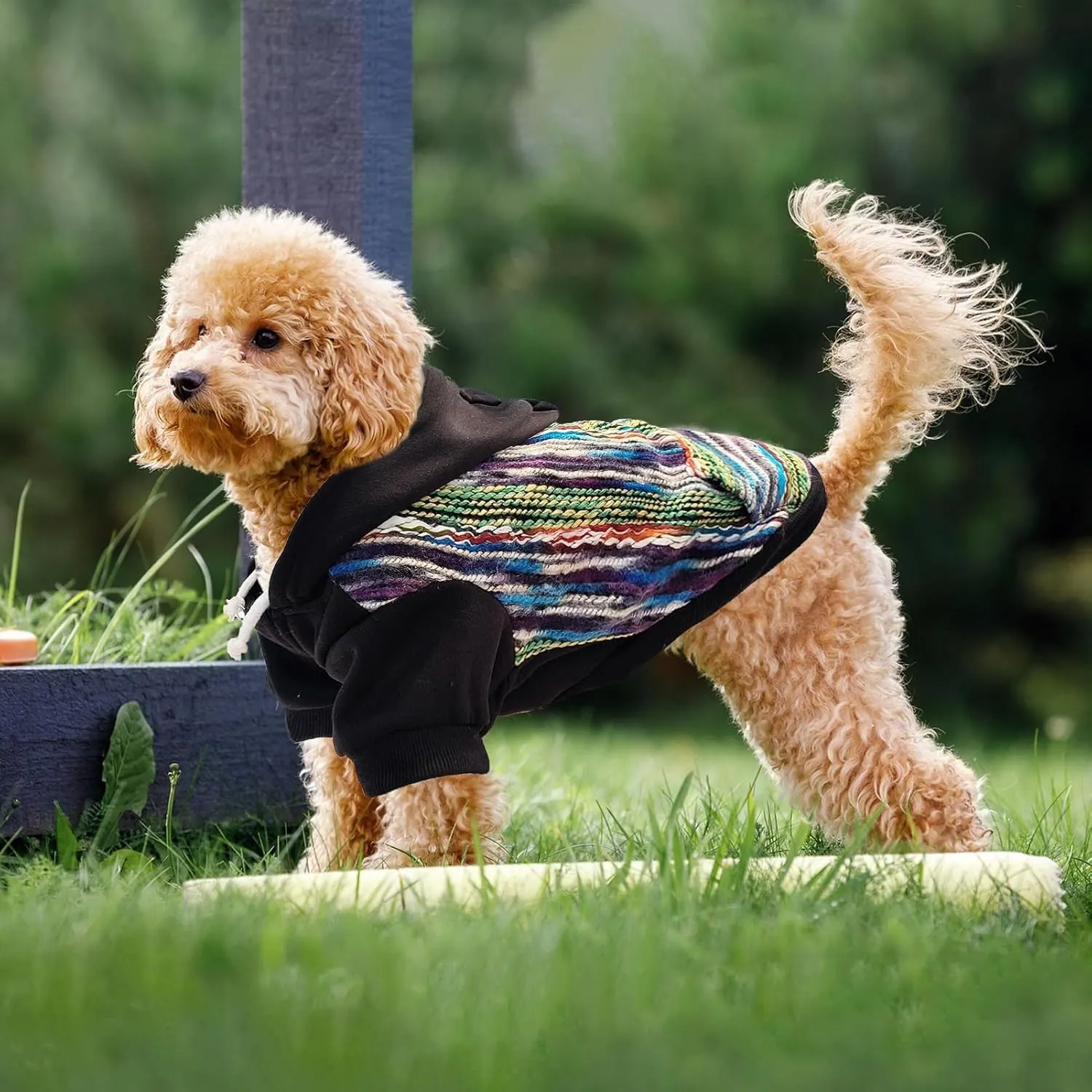 PUPTECK Dog Hoodie Puppy Sweatshirt Warm Dog Sweater Winter Clothes Cold Weather Coats for Small Medium Large Dogs, Black Mexican Style, M