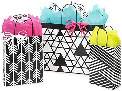 Stephanie Imports Made in USA Set of 6 Kinetic Ink Paper Shopping Bags (3 sizes) With Tissue Paper - 100% Recyclable