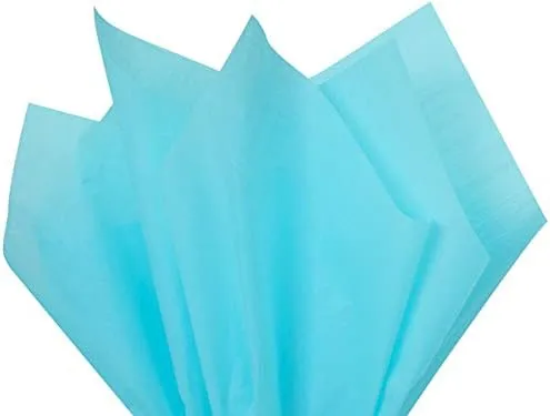 Stephanie Imports Made in USA Set of 6 Kinetic Ink Paper Shopping Bags (3 sizes) With Tissue Paper - 100% Recyclable