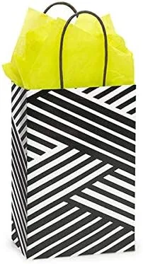 Stephanie Imports Made in USA Set of 6 Kinetic Ink Paper Shopping Bags (3 sizes) With Tissue Paper - 100% Recyclable