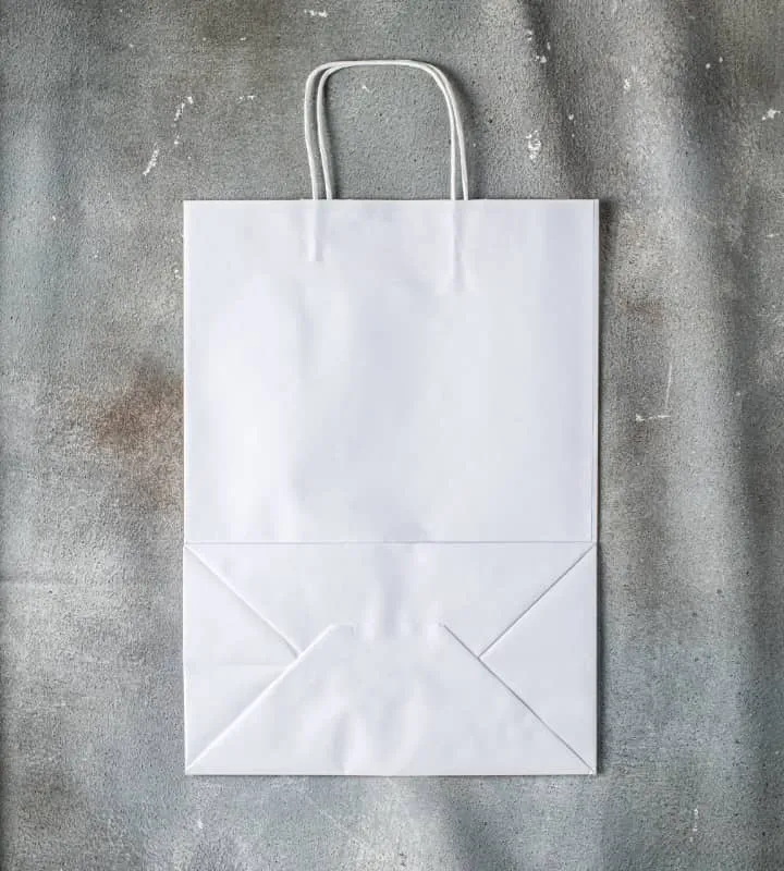 Twisted Handle Kraft Paper Bag - White 305x170x425mm